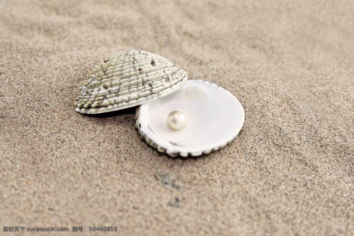 贝壳珍珠 贝壳 珍珠 蚌 沙滩 海滩 底纹背景 背景图片 沙滩背景 珠宝服饰 生活百科 白色