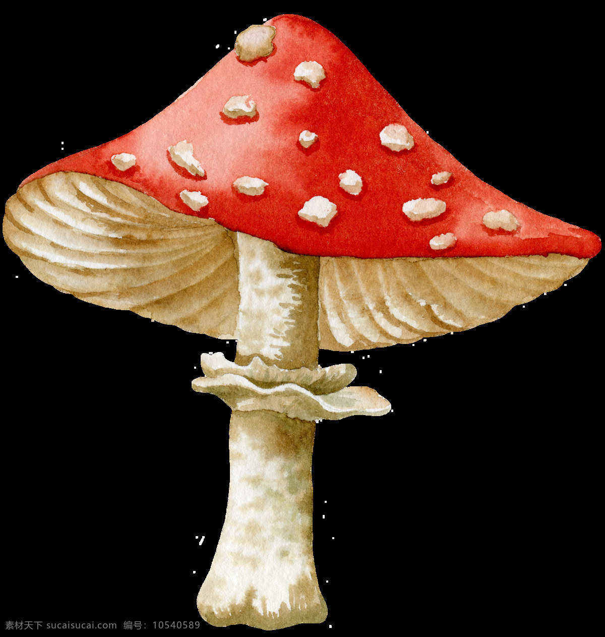 蘑菇 卡通 透明 红色 抠图专用 装饰 设计素材