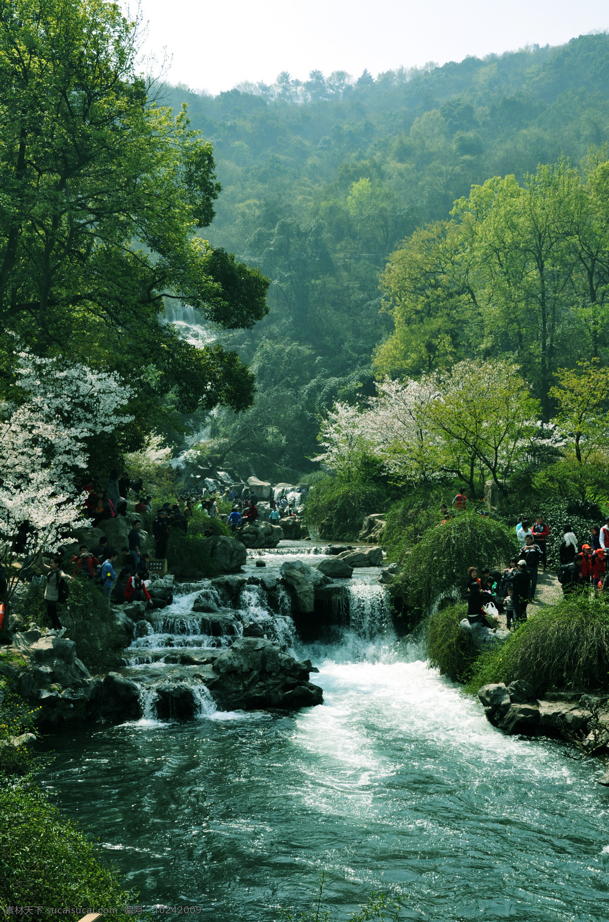 太子湾 公园 奔流 溪水 春光 春季 春色 春天 湖面 花开 流水 山谷 山水 溪流 太子湾公园 繁花锦束 园林 园艺 河谷 装饰素材 园林景观设计