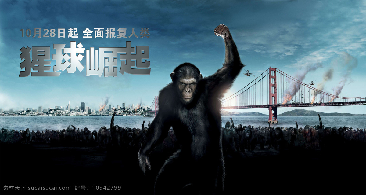 猩球崛起 电影 电影海报 海报 影视娱乐 欧美大片 人猿星球前传 文化艺术