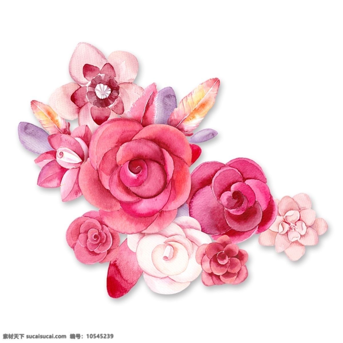 手绘 玫瑰 花卉 植物 叶子 水彩 透明素材 玫瑰花卉 免 扣