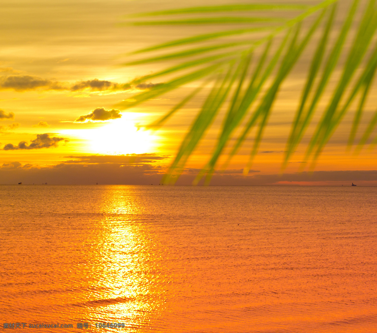 大海 风景 大海风景 高清图片 摄影图片 jpg图片 椰树 黄昏景色 自然风景 黄昏 平静的海面 大海图片 风景图片
