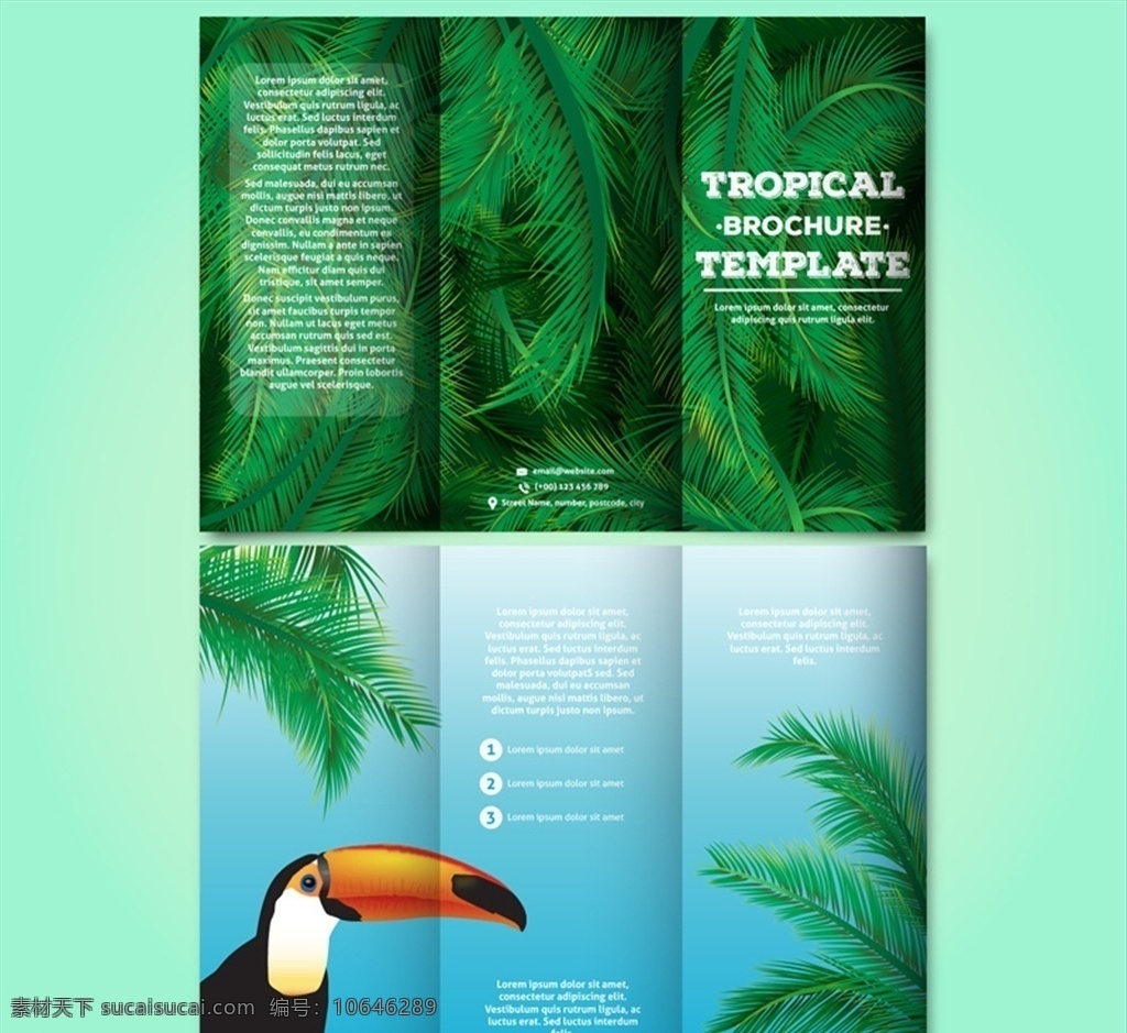 创意 热带 三 折页 宣传册 矢量 棕榈树叶 模板 大嘴鸟 动物 植物 三折页 画册设计