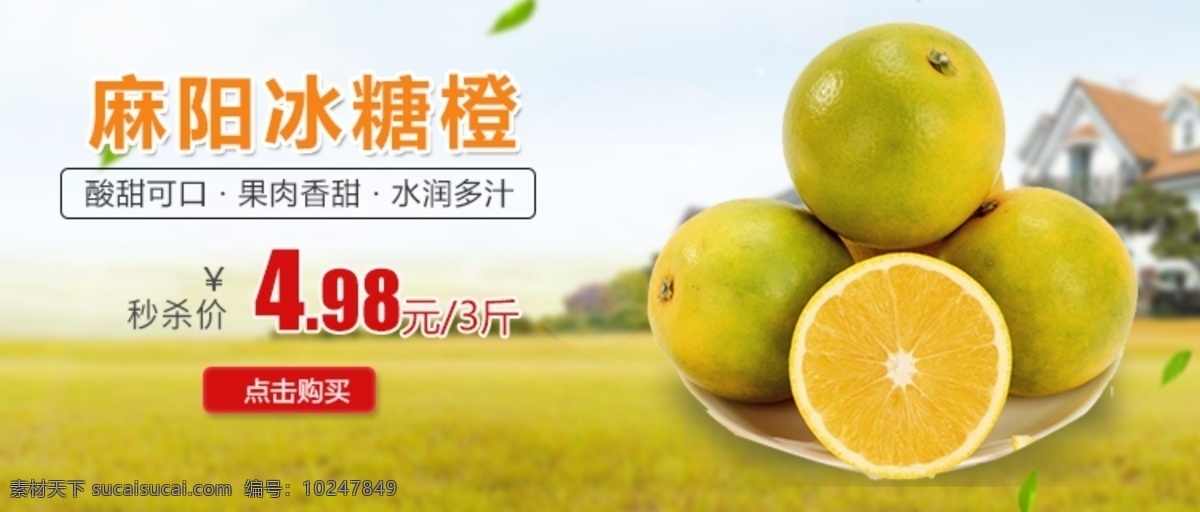 麻阳 冰糖橙 banner 图 美食 电商 广告 麻阳冰糖橙 水果 相关