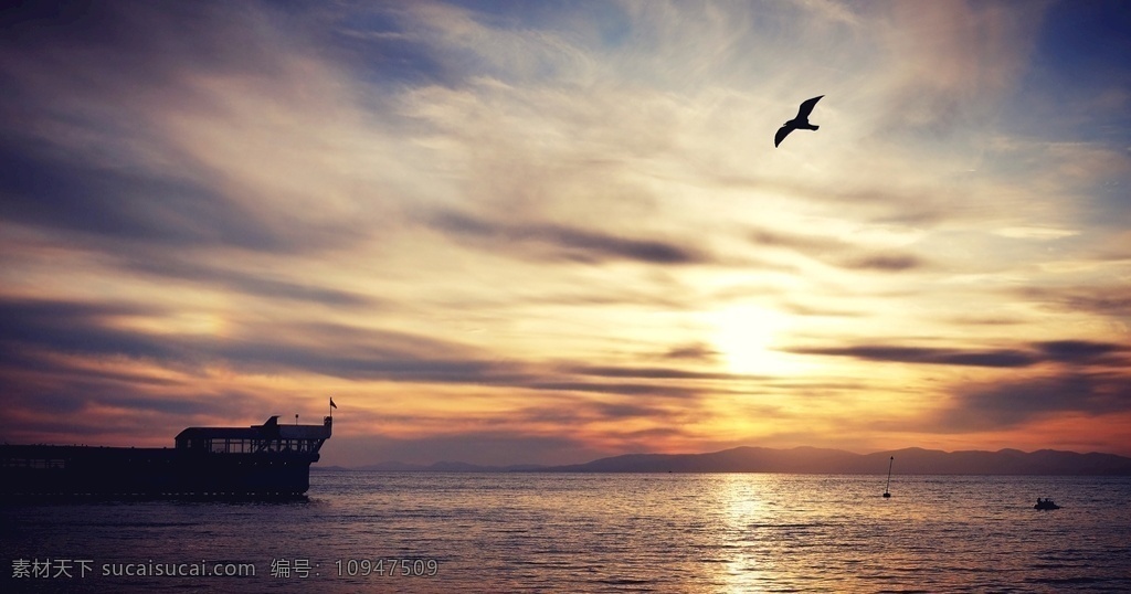 符拉迪沃斯托克 海参崴 落日 海湾 云 夕阳 船 海鸥 风景 海 俄罗斯 自然景观 自然风景