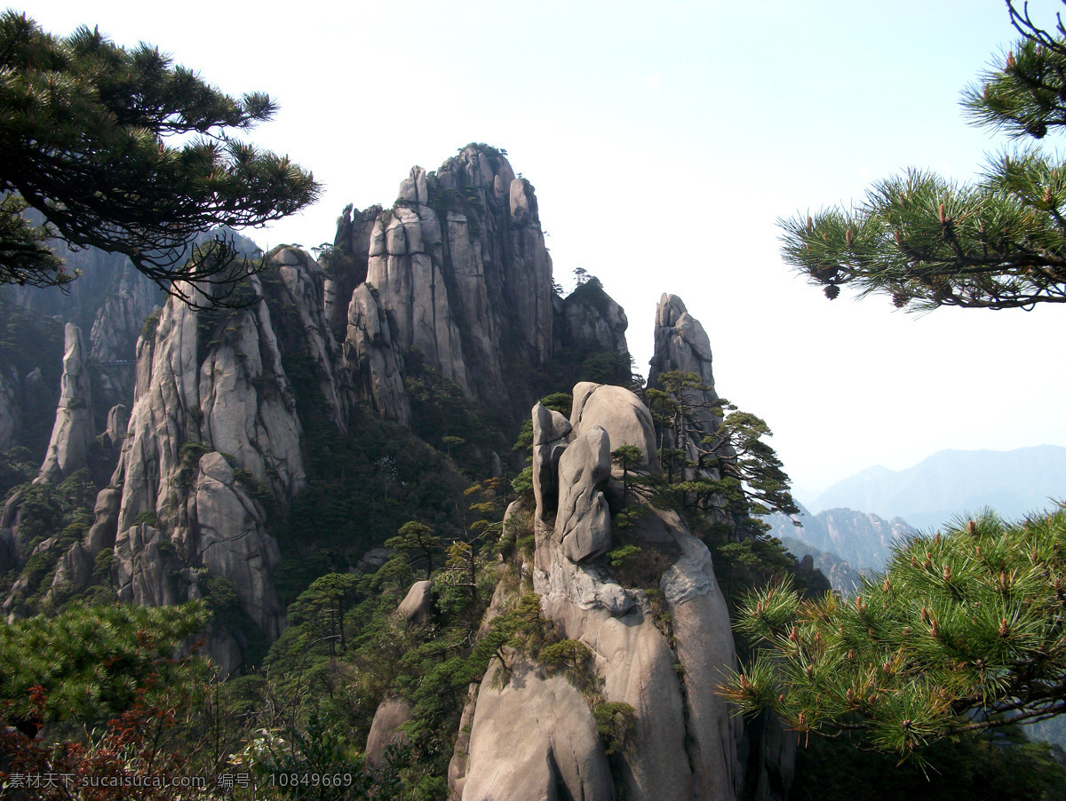 奇松奇石 江西 上饶 婺源 三清山 松树 石头 风景名胜 自然景观