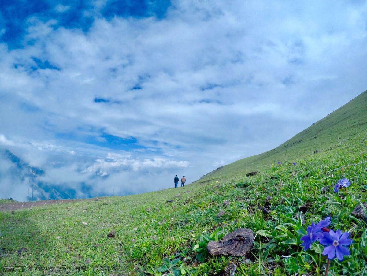 九顶山 野花 蓝天 白云 高山牧场 旅游摄影 国内旅游