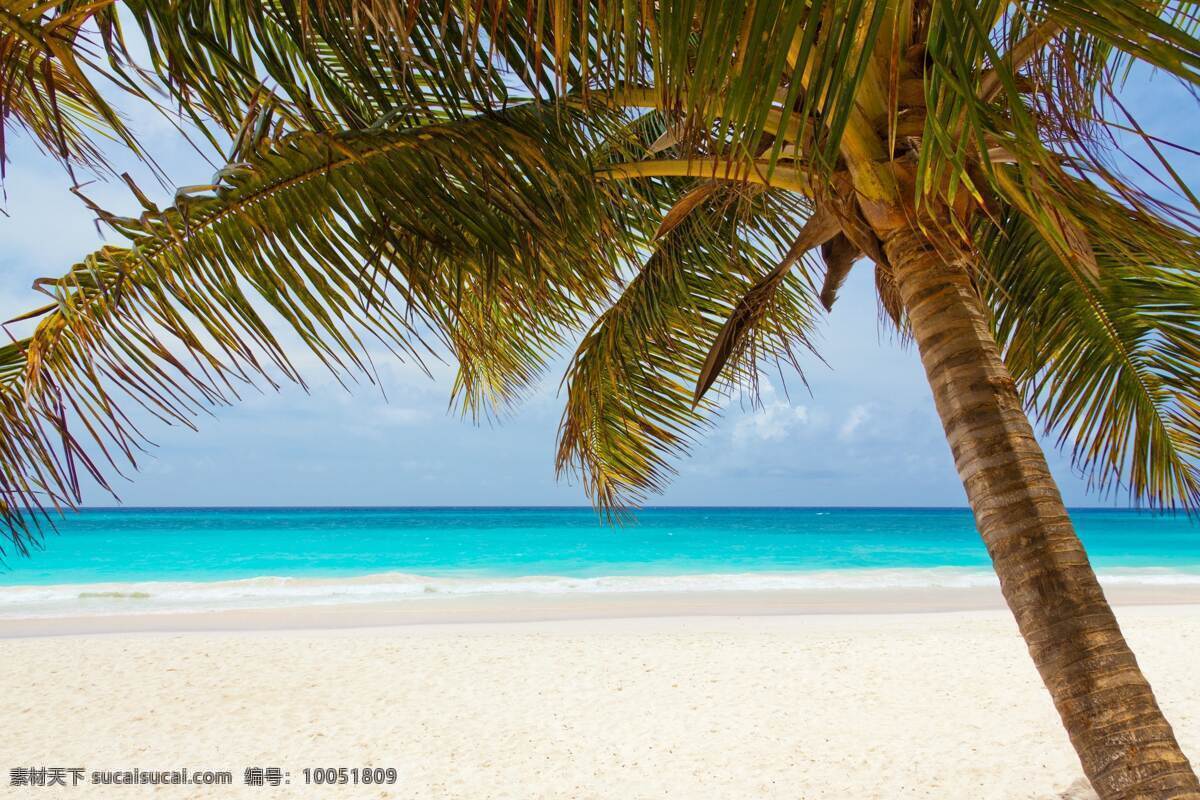 海边椰树 蓝天 大海 椰树 海滩 沙滩 自然景观 自然风光