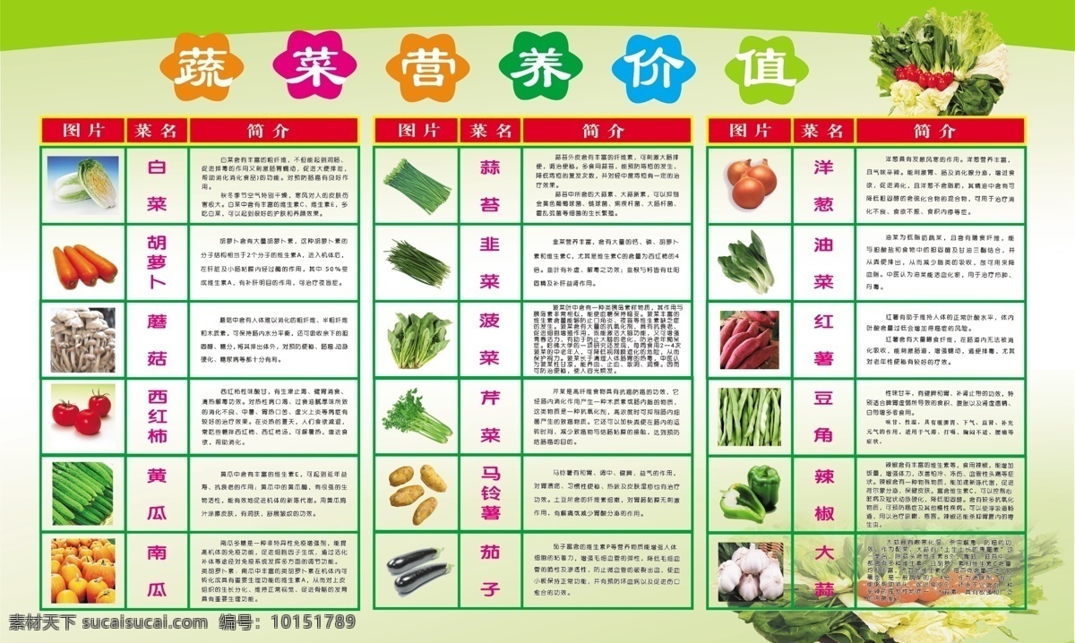 蔬菜知识海报 蔬菜 蔬菜名称 蔬菜展板 广告设计模板 源文件