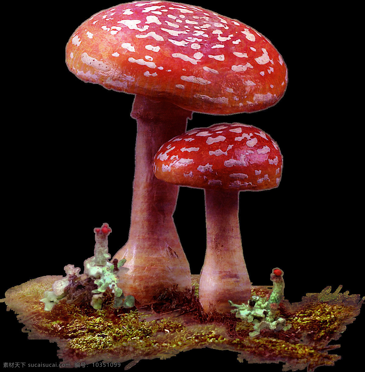 手绘 红色 蘑菇 元素 卡通 野外 生长 红色波点 菌类 免抠