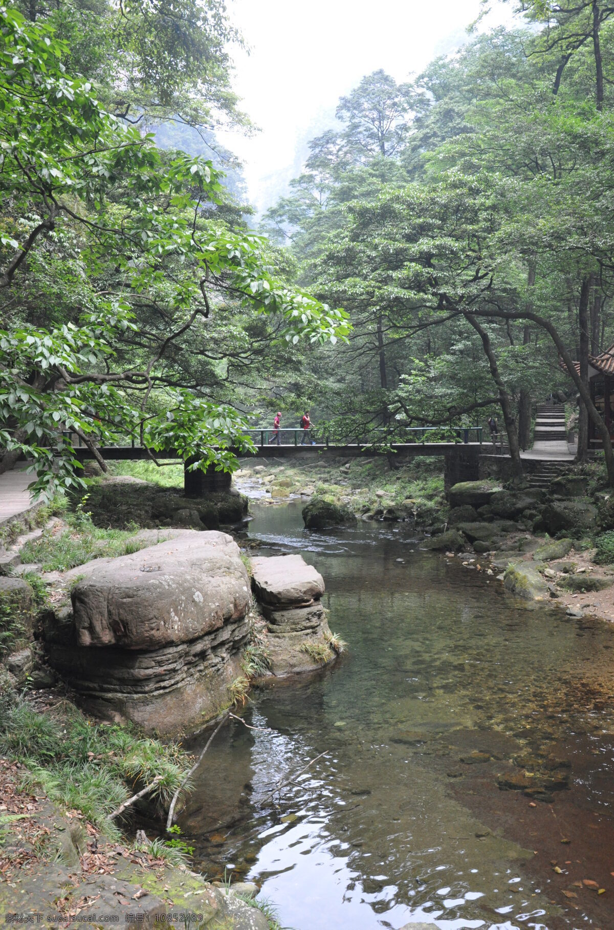 张家界 湖南 旅游景区 金鞭溪 奇山 怪石 溪水 木桥 鹅卵石 树木 雾 国内旅游 旅游摄影