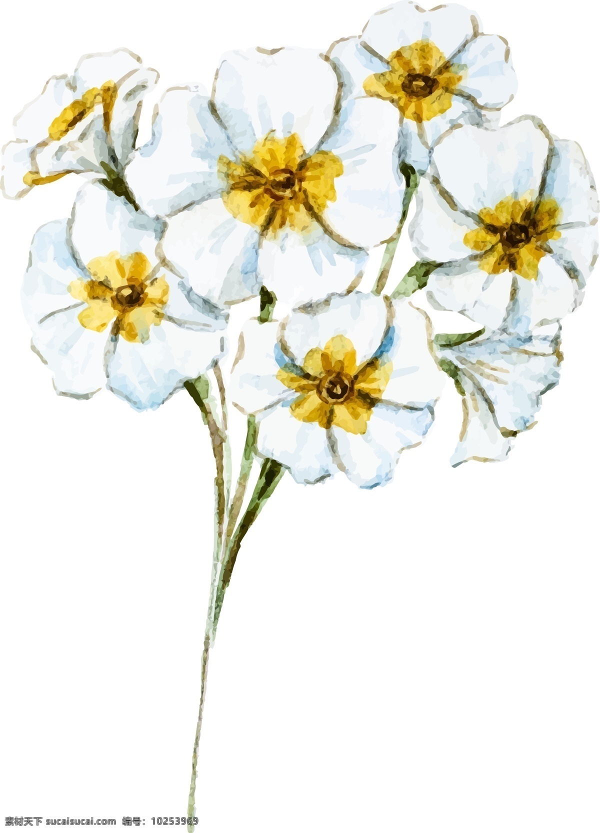 水彩 束 野花 白色黄色小花 野花素材 必备 水彩野花 手绘图案 手绘野花