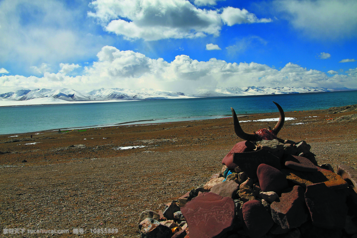 西藏景观 西藏 风景 湖水 蓝天白云 牛头 拉萨风景 旅游摄影 国内旅游