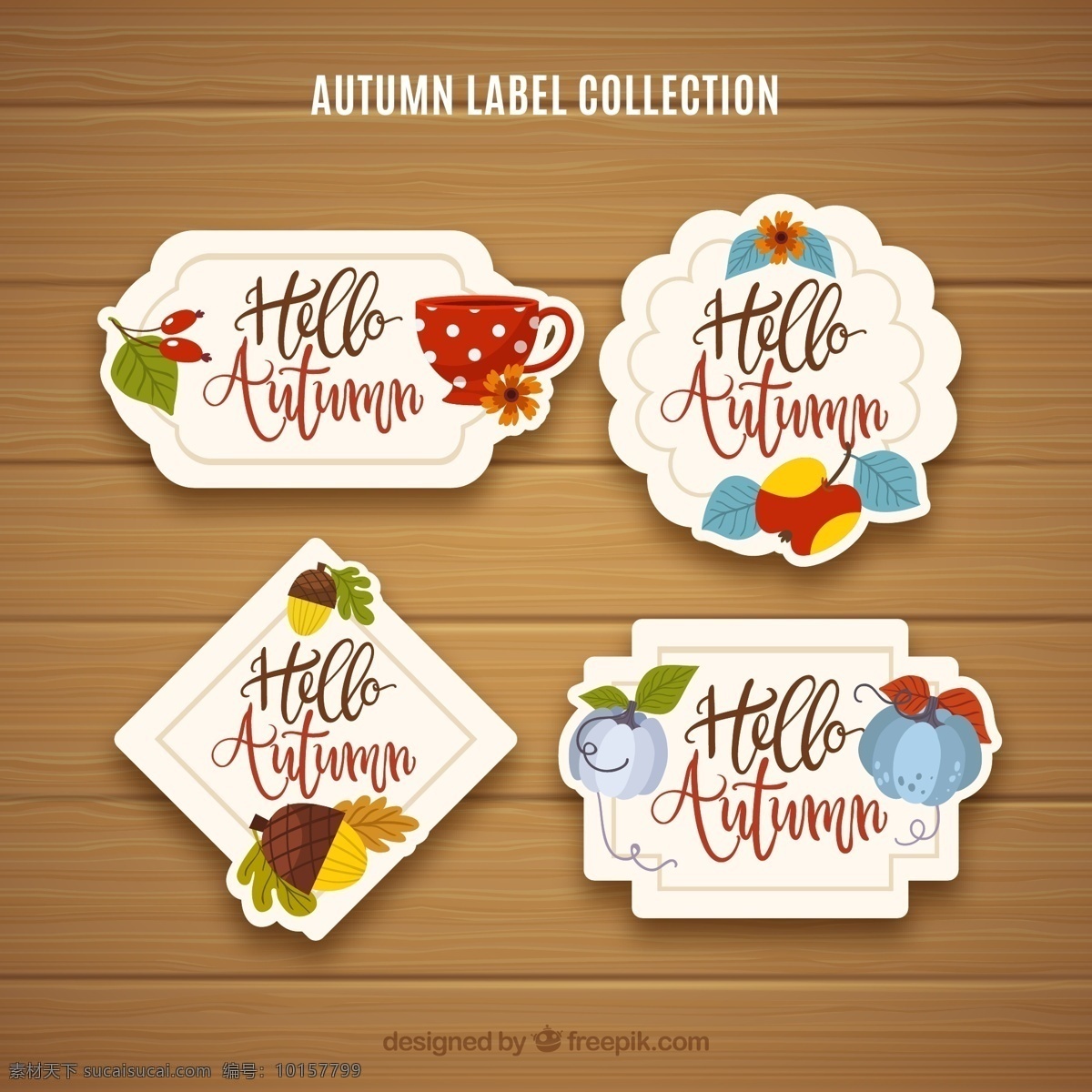 款 彩色 秋季 标签 浆果 茶杯 橡子 树叶 苹果 南瓜 花卉 木板 autumn 文化艺术 节日庆祝