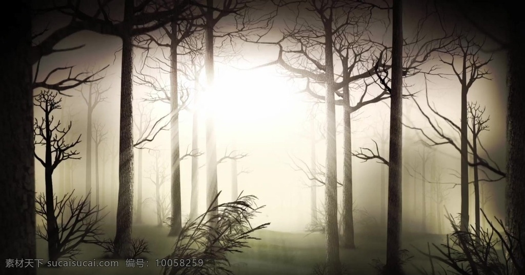 阴森的小树林 树林 夜晚 阴森 背景 合成背景素材 影视编辑 多媒体 mov