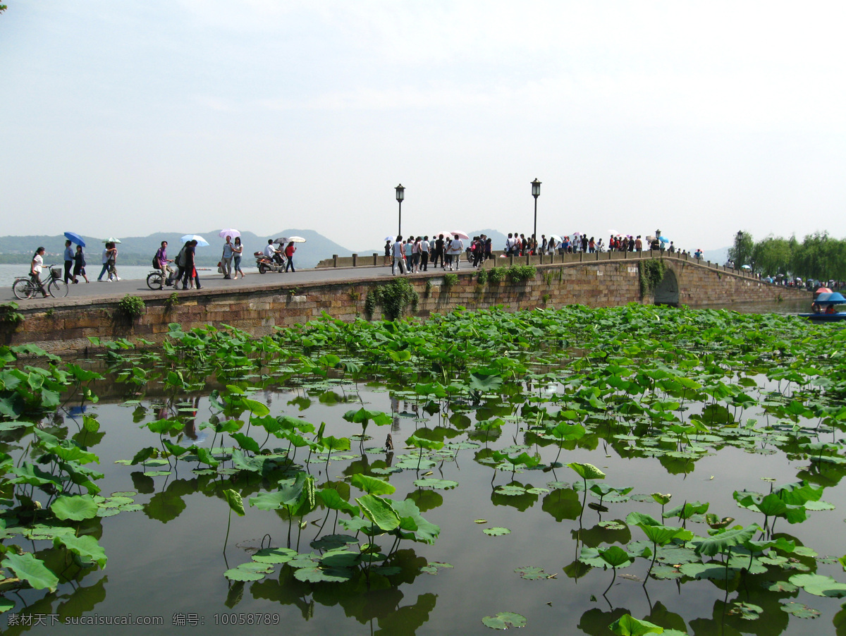 西湖免费下载 风景 杭州 旅游摄影 摄影图 西湖 断桥 杭州旅游 风景图片 生活 旅游餐饮