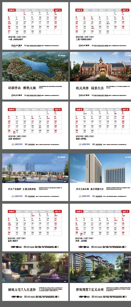 一本 逼 格 台历 日历 猪年台历 猪年日历 新年日历 办公台历