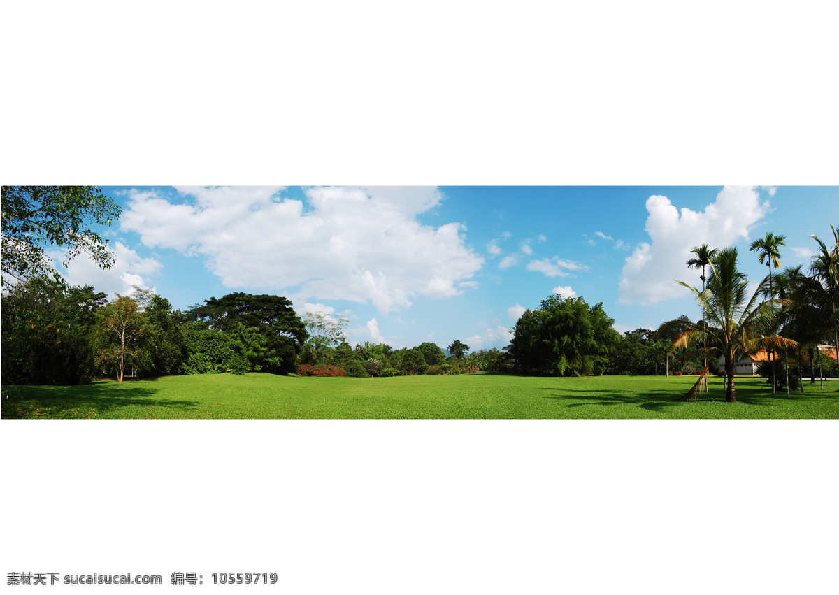 美丽 植物园 白云 草地 蓝天 云南 风景 生活 旅游餐饮