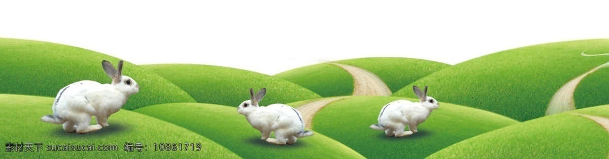 小兔子 小白兔 蓝天 草地 小路 春天 春天背景 夏天背景 分层 源文件