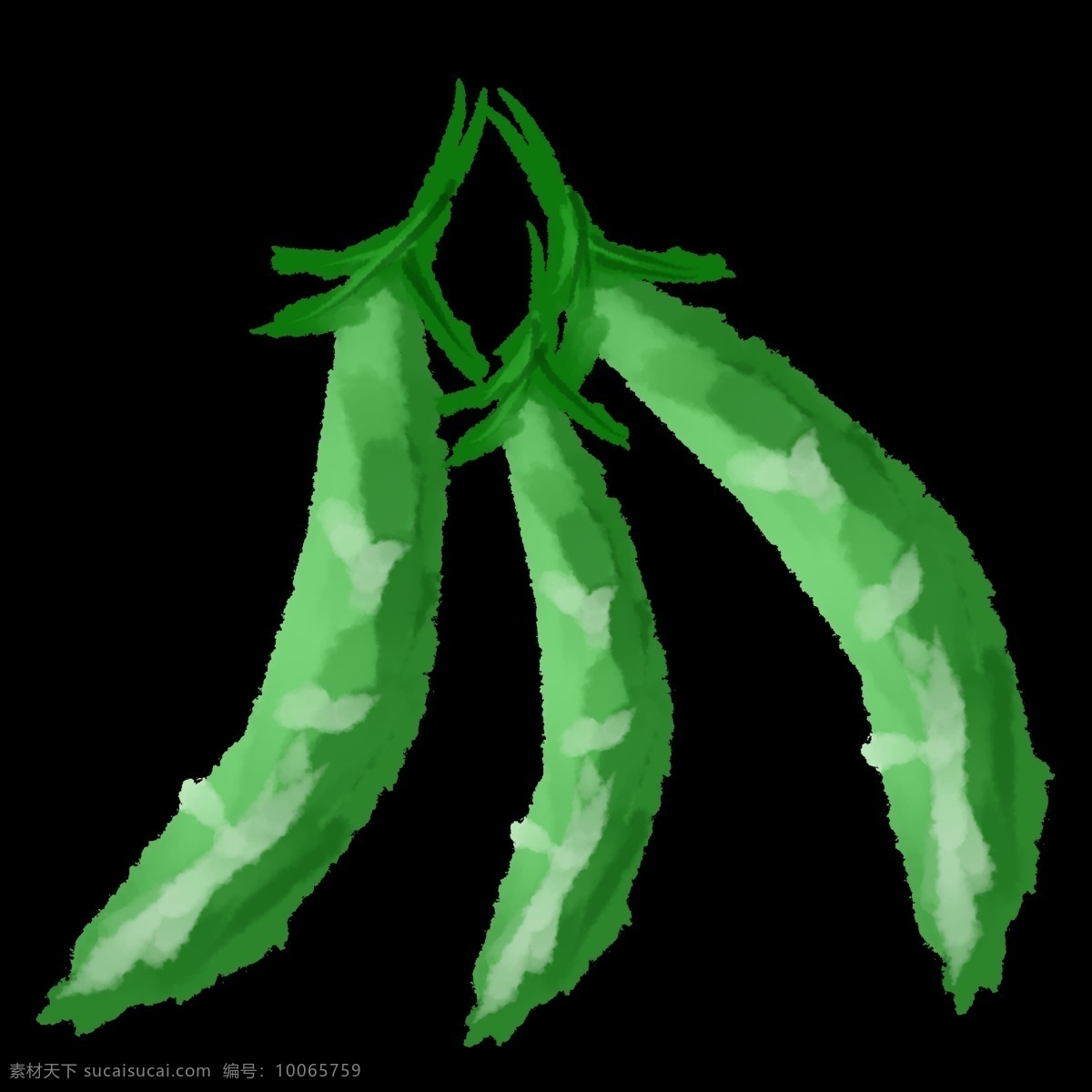 三 只 扁平 风格 手绘 豌豆 蔬菜 青色 绿色 豆子 新鲜 免扣 文件 卡通 中国风 好吃 装饰 贴画 黑色