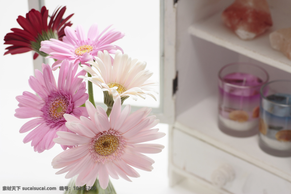 鲜花 柜子 粉色花朵 图片图库 高清图片 花朵 花 自然摄影 玻璃瓶 杯子 玻璃杯 红色花朵 菊花 花草树木 生物世界 白色