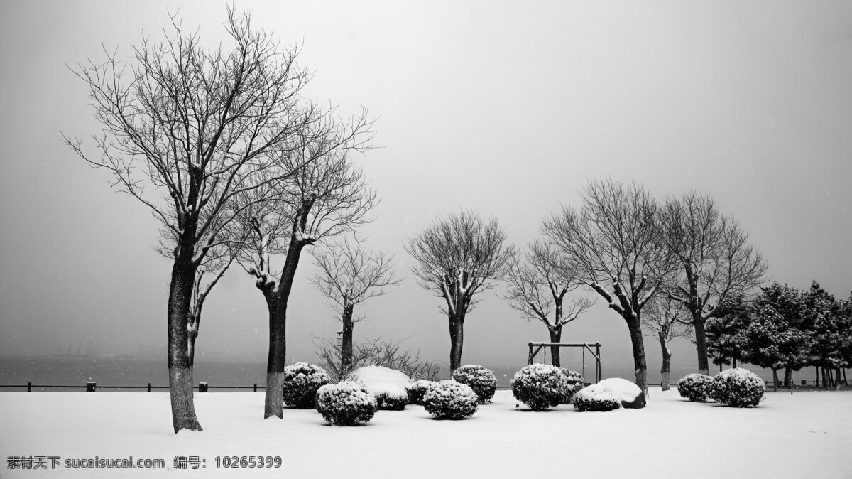 唯美 黑 白色 雪景 冬季 风景 树木 黑白色