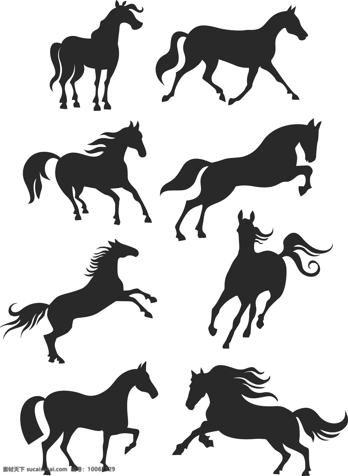 各种马的剪影 马的剪影 各种马 不同形态 矢量马 奔跑的马 马匹 小马 骏马 生物世界 家禽家畜
