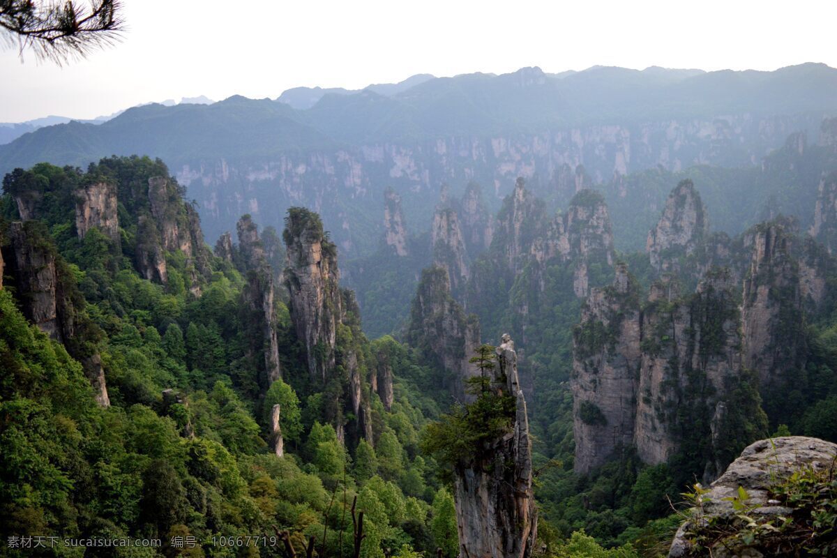 张家界 武陵源 山石林立 丛林 云雾 山川 唯美 全景风景 全景 石林 旅游摄影 自然风景