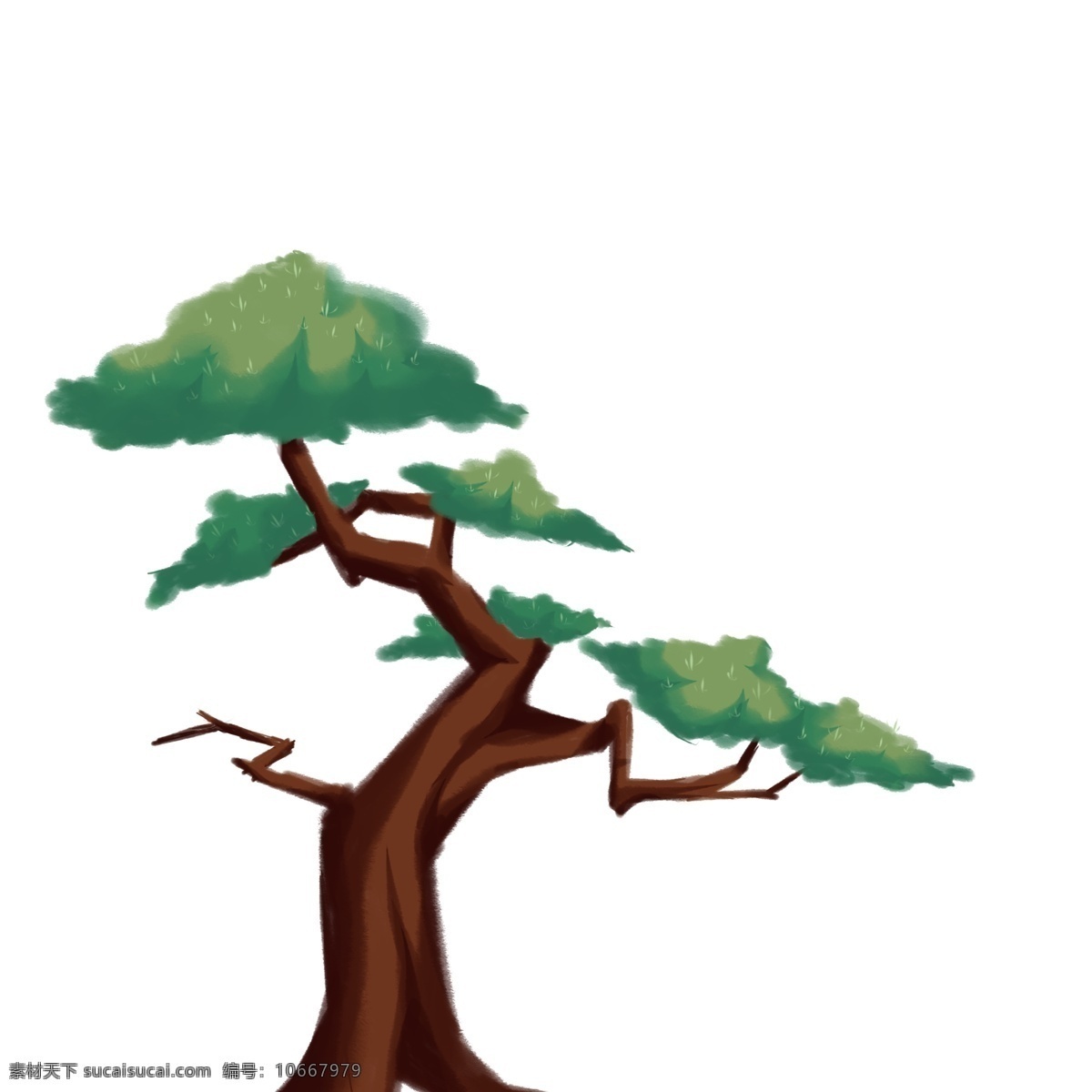 棵 深绿色 的卡 通 树木 卡通 松树 卡通树木 植物 卡通植物 一棵树木 松柏树 高纬度 手绘 绿色松树