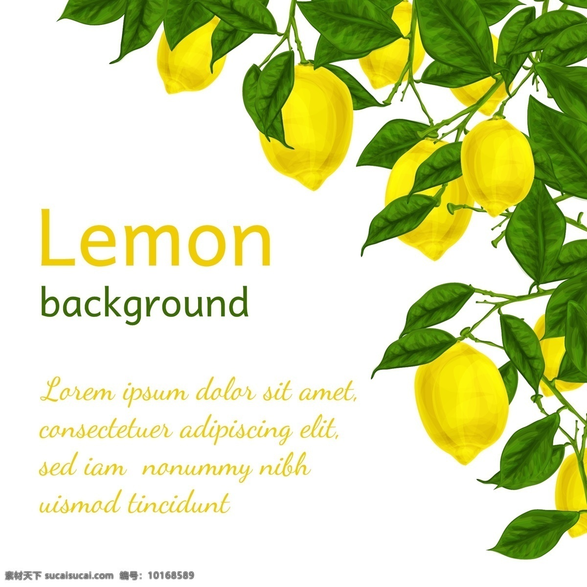 水彩 柠檬 元素 背景 水彩背景 柠檬元素 柠檬背景 水果 树叶 叶子 海报