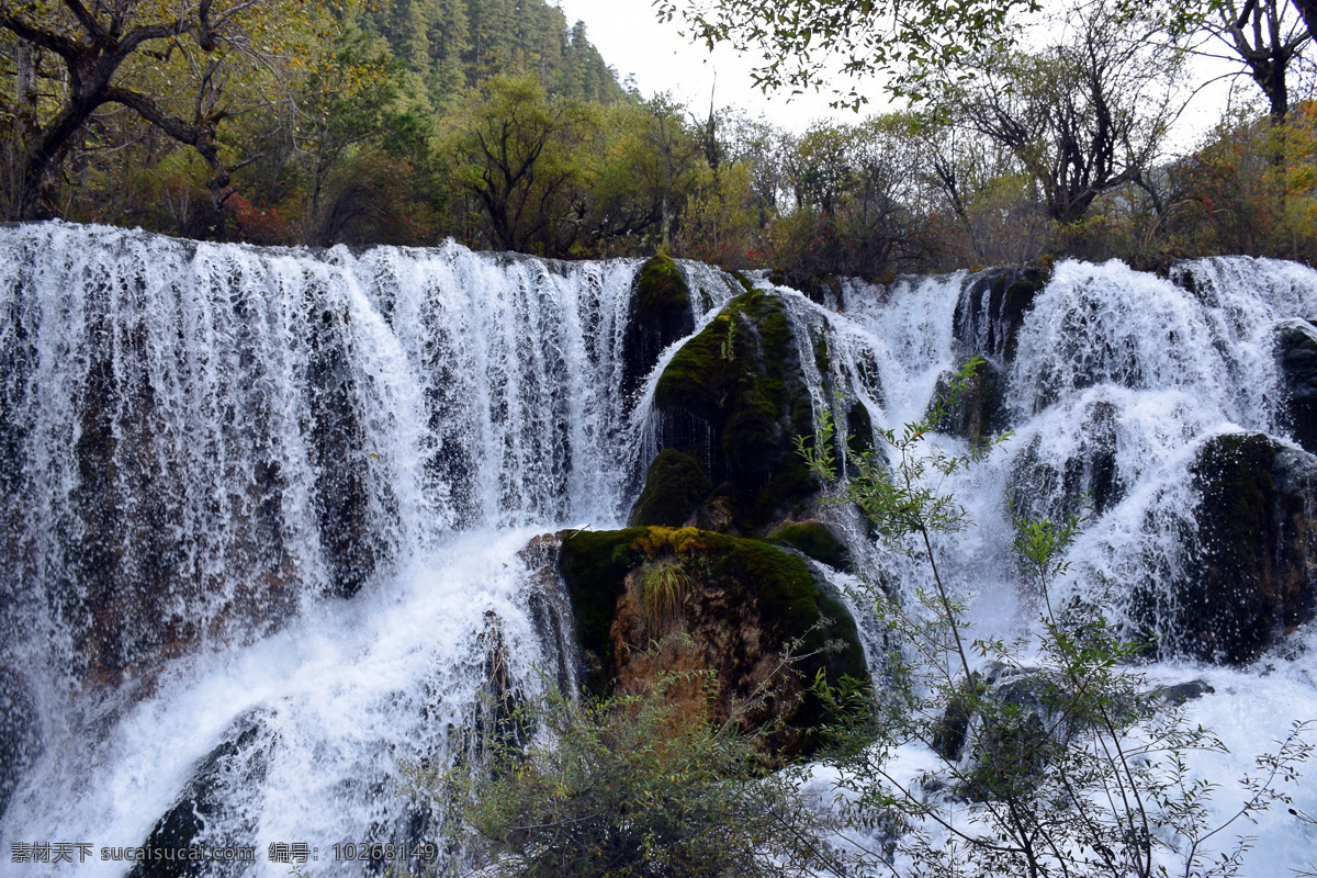 诺日朗瀑布 高山湖泊 湖水 四川 九寨沟 自然 风景 原始 九寨沟风光 倒影 森林 风光 九寨 自然风景 原始森林 自然保护区 秋天 秋季 黄叶 美景 大自然 鬼斧神工 树正瀑布 瀑布 摄影作品 自然景观