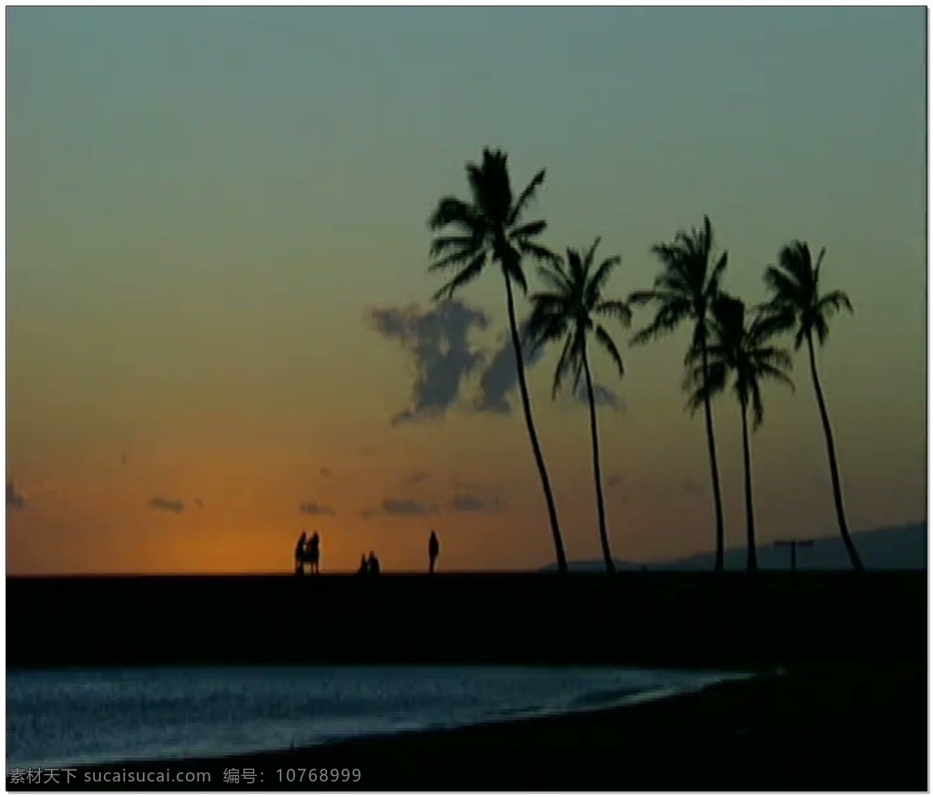 海边 黄昏 动态 视频 海景 椰子树 落日 视频素材 动态视频素材