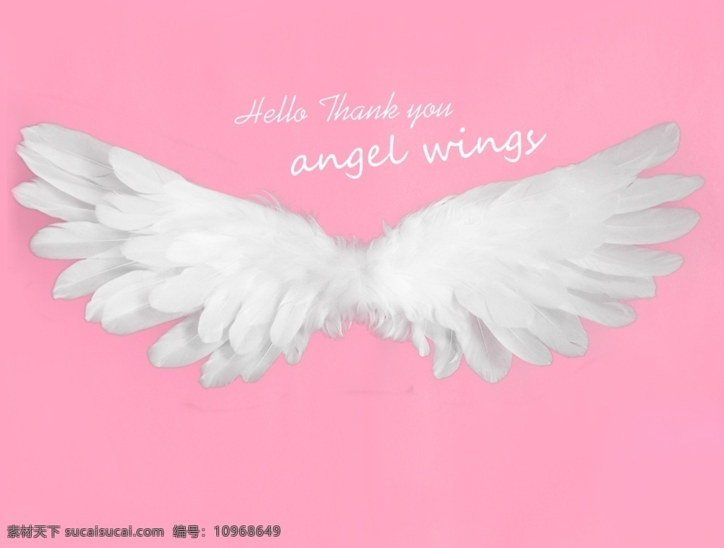 天使的翅膀 网红背景 爱的翅膀 粉色温馨背景 粉色背景