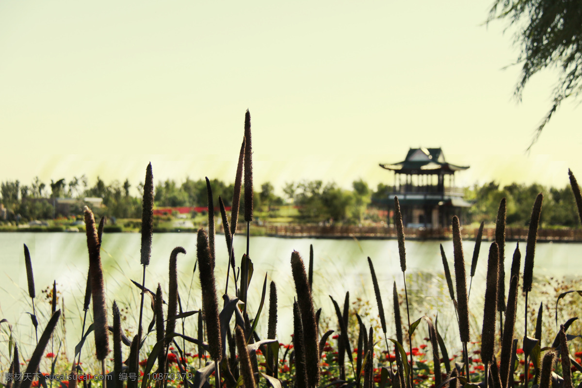 清风 拂面 湖水 芦苇图片 秋 亭子图片 风景 生活 旅游餐饮