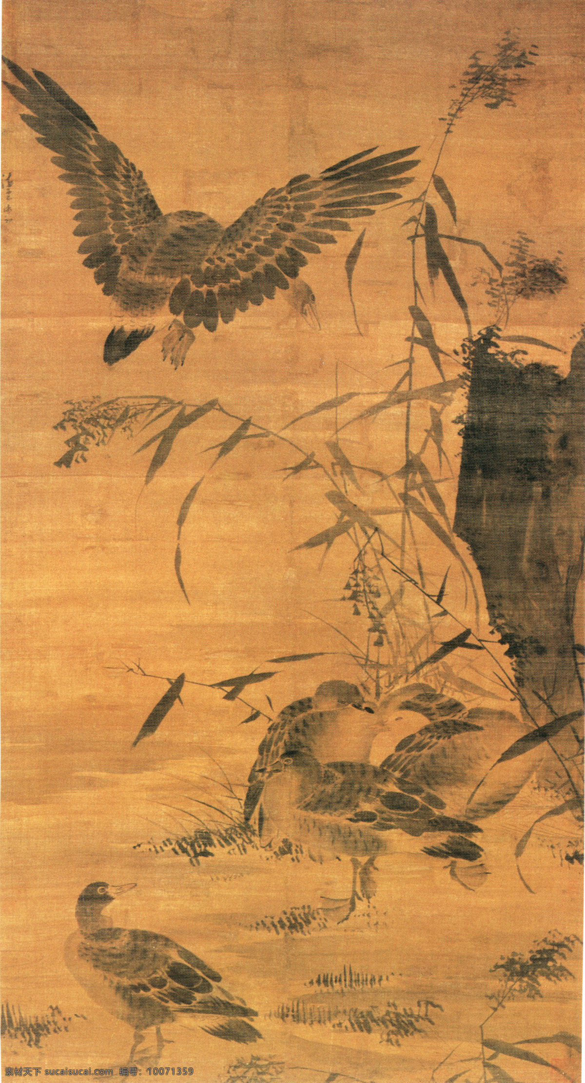 中国 花鸟画 名家 汪 肇 书画 真迹 芦 雁 图 大雁 古画 花鸟 芦苇 书画真迹 水草 羽毛 芦雁图 中国花鸟画 名家汪肇 立轴绢本设色 用笔 浓墨 淡墨 烘染 矶石 用笔草萆 文化艺术