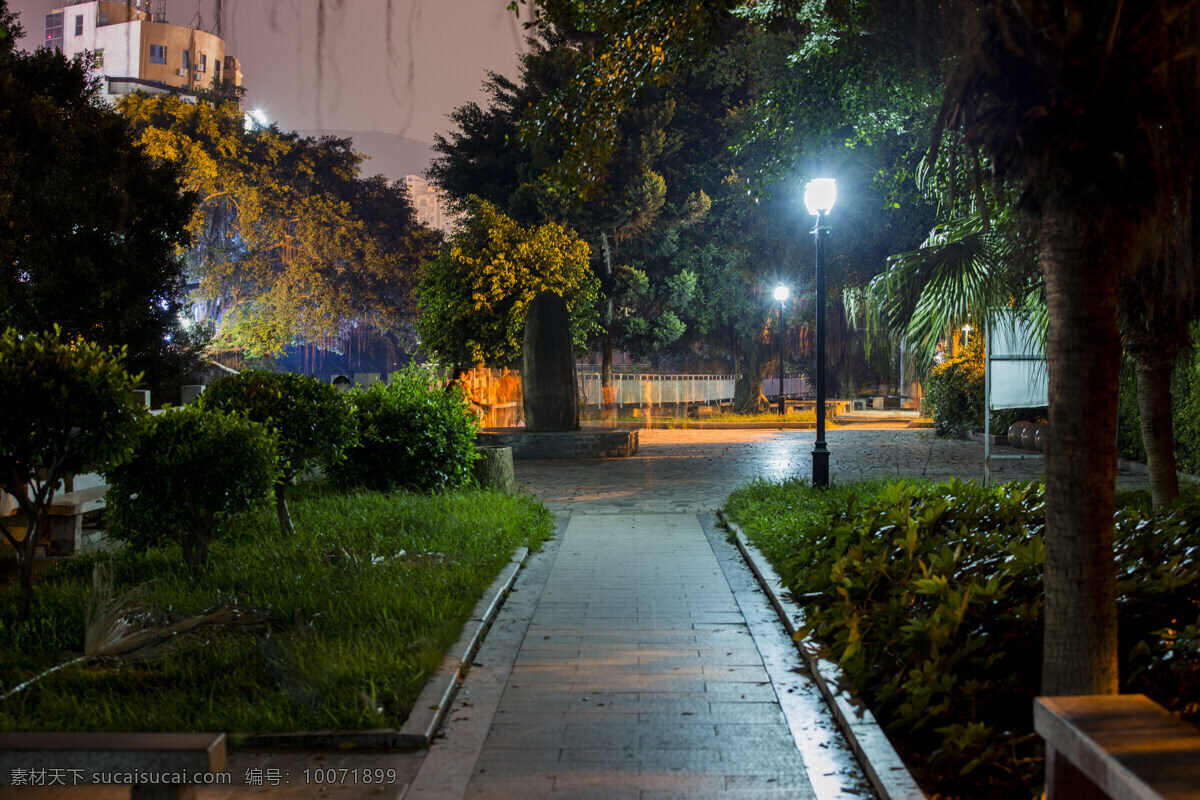 夜晚公园 长廊 灯光 夜晚 大树 树叶 特别 自然景观 自然风景