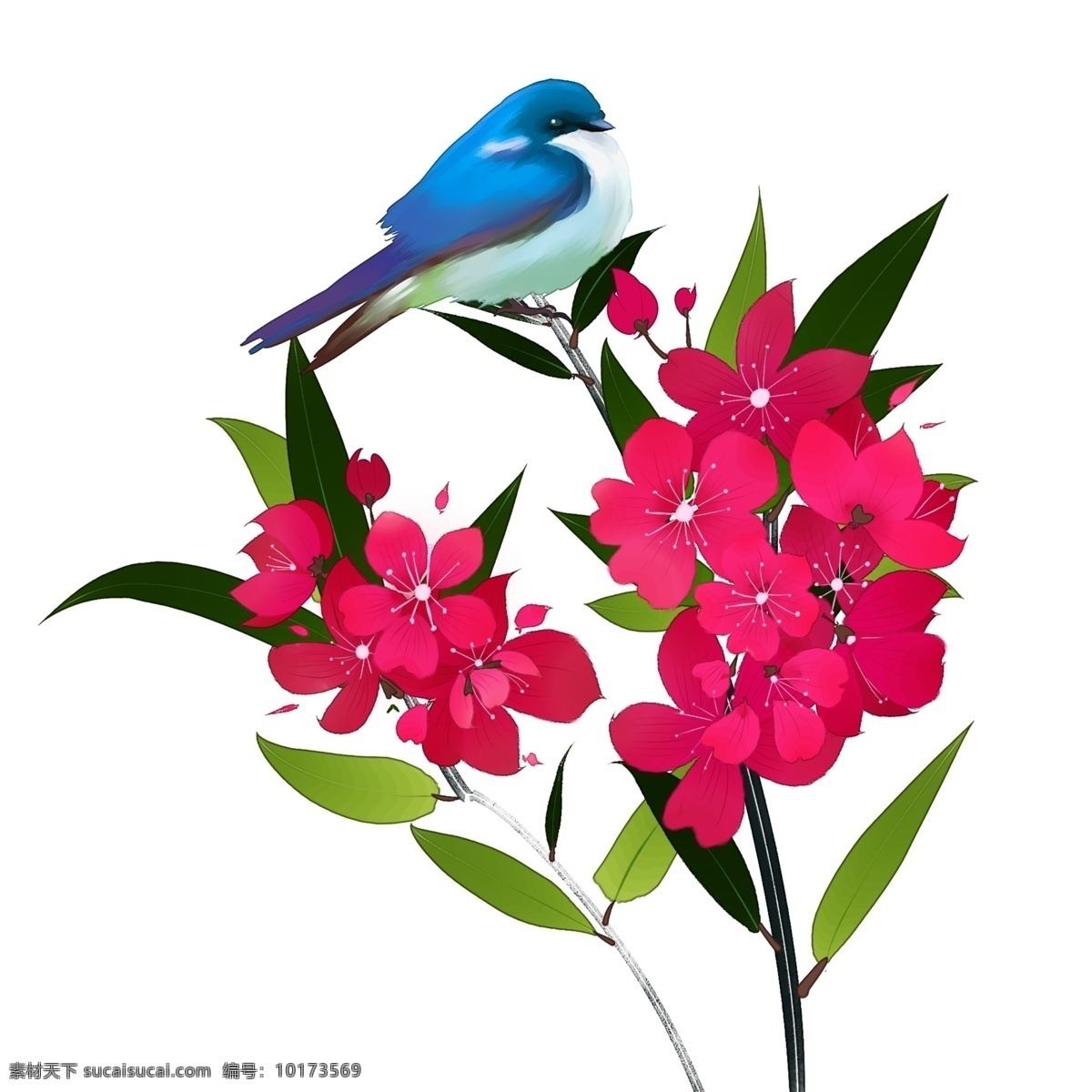 中国 风 花卉 桃色 夹竹桃 蓝色 小鸟 装饰 桃色花朵 粉红色花朵 鸟 蓝色小鸟 中国风 漂亮的花 装饰画 手绘花朵 手绘鸟