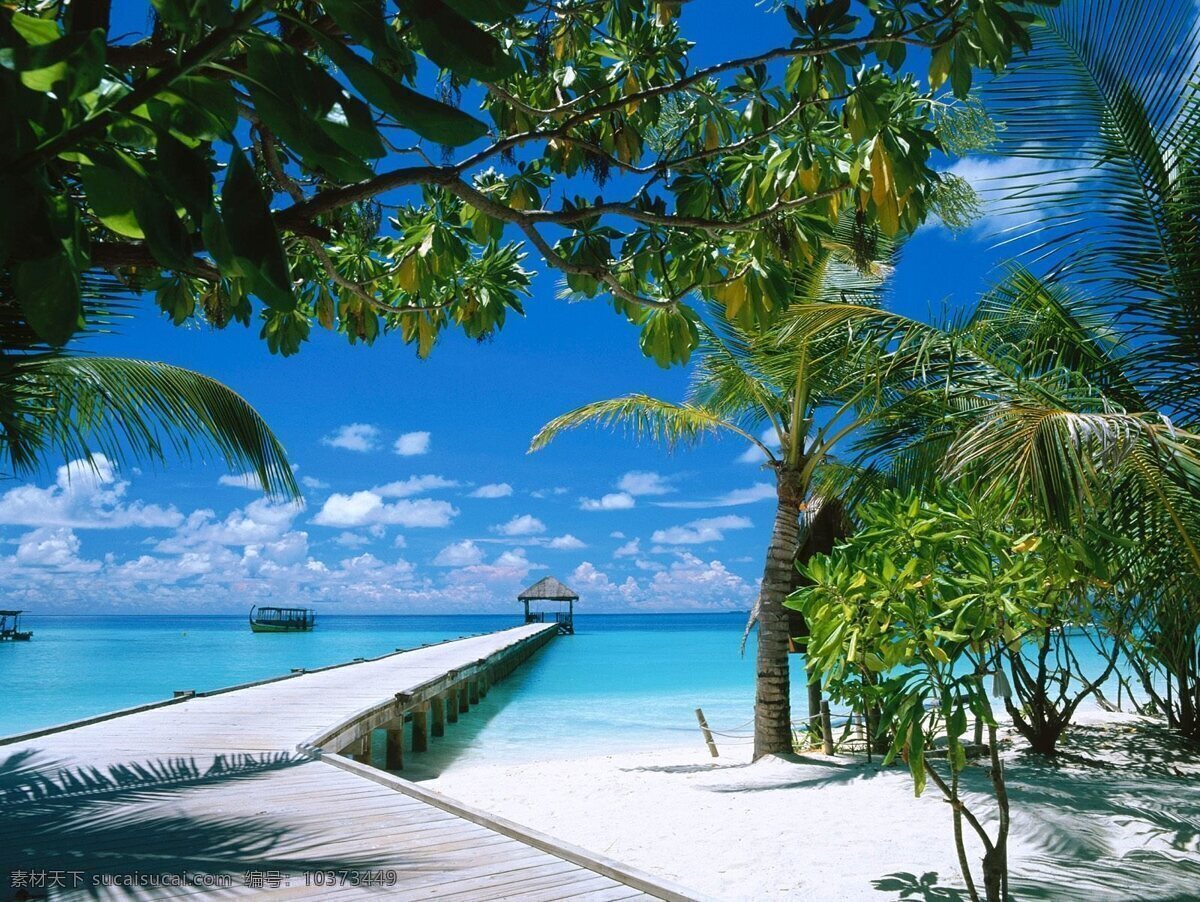 海滩椰子树 海南 沙滩 海边 大海 阳光 蓝天 日光浴 绿树 常绿乔木 风光 碧海 椰树 旅游 白沙 度假圣地 自然景观 自然风景