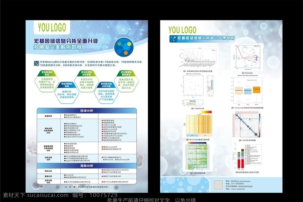 宏 基因组 信息 分析 单 页 宏基因组单页 微生物单页 基因dna 基因单页 dna单页 基因单页模板 基因 dm宣传单
