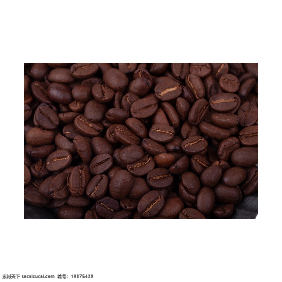 咖啡豆 免 抠 写实 冬季 咖啡 圆形 棕色 热饮 种子 褐色 豆子 颗粒 饮料 高级 许多