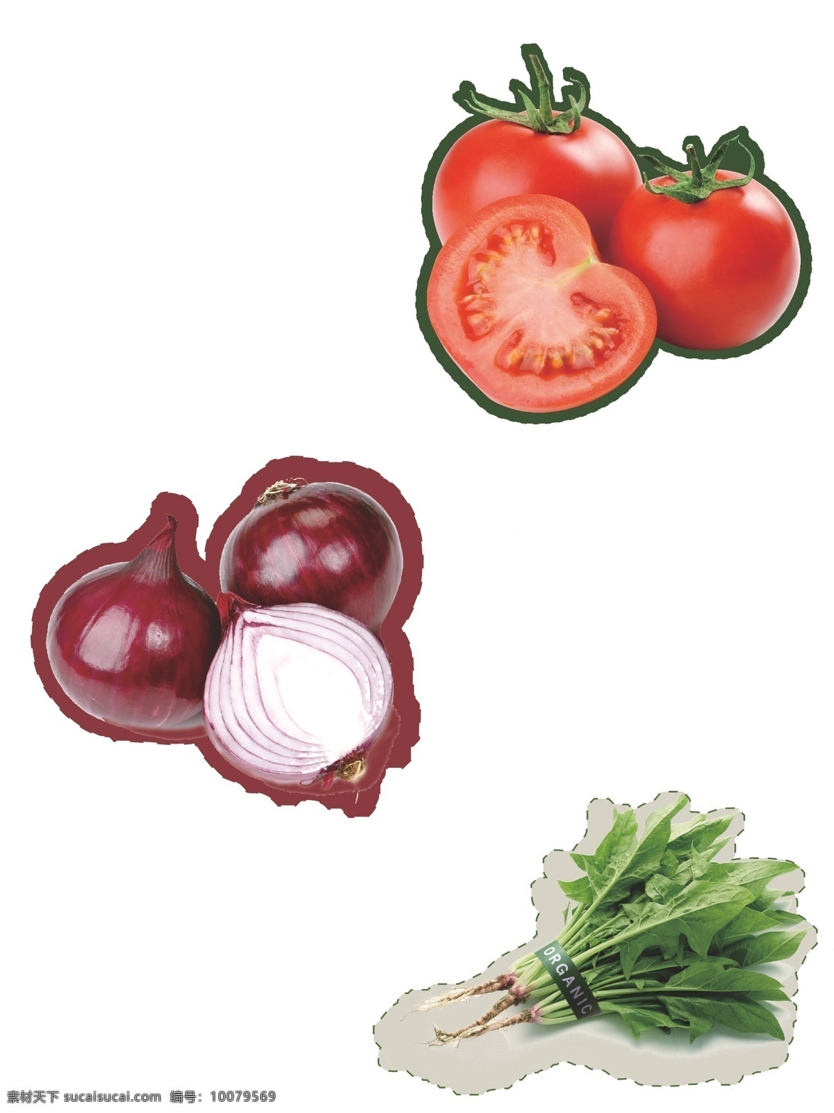 蔬菜介绍海报 西红柿 洋葱 菠菜 简介 超市 生鲜 养生