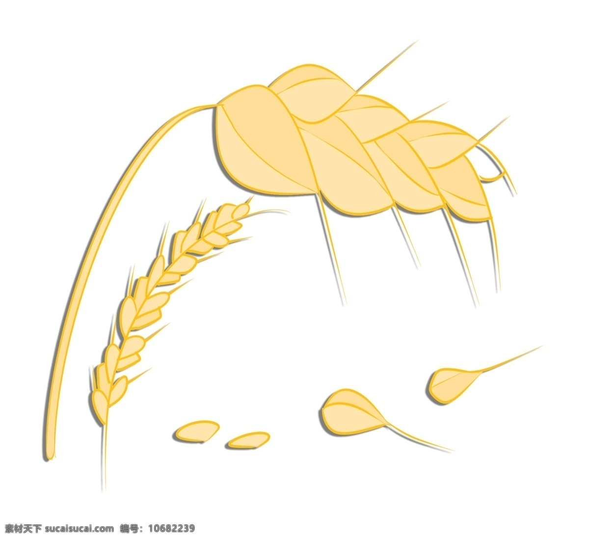 黄色卡通麦穗 黄色 麦子 植物