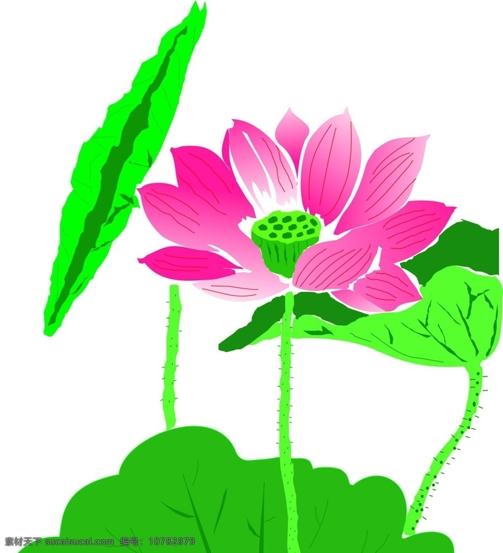 荷花矢量图 荷花 矢量图 荷叶 花 花朵 花苞 自然景观 矢量