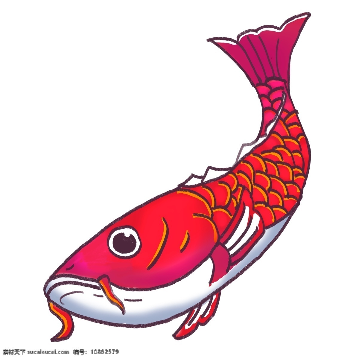 中国 风 转运 锦鲤 红色 动物 插画 中国风 手绘 红鲤鱼 鱼 转运锦鲤 鲤鱼元素