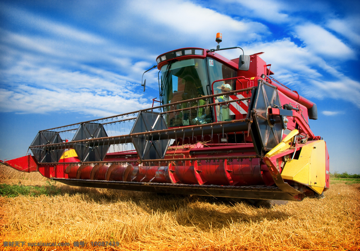 麦地 里 收割机 麦穗 麦田 麦子 小麦 秋收 秋天麦田风景 农业生产 现代科技