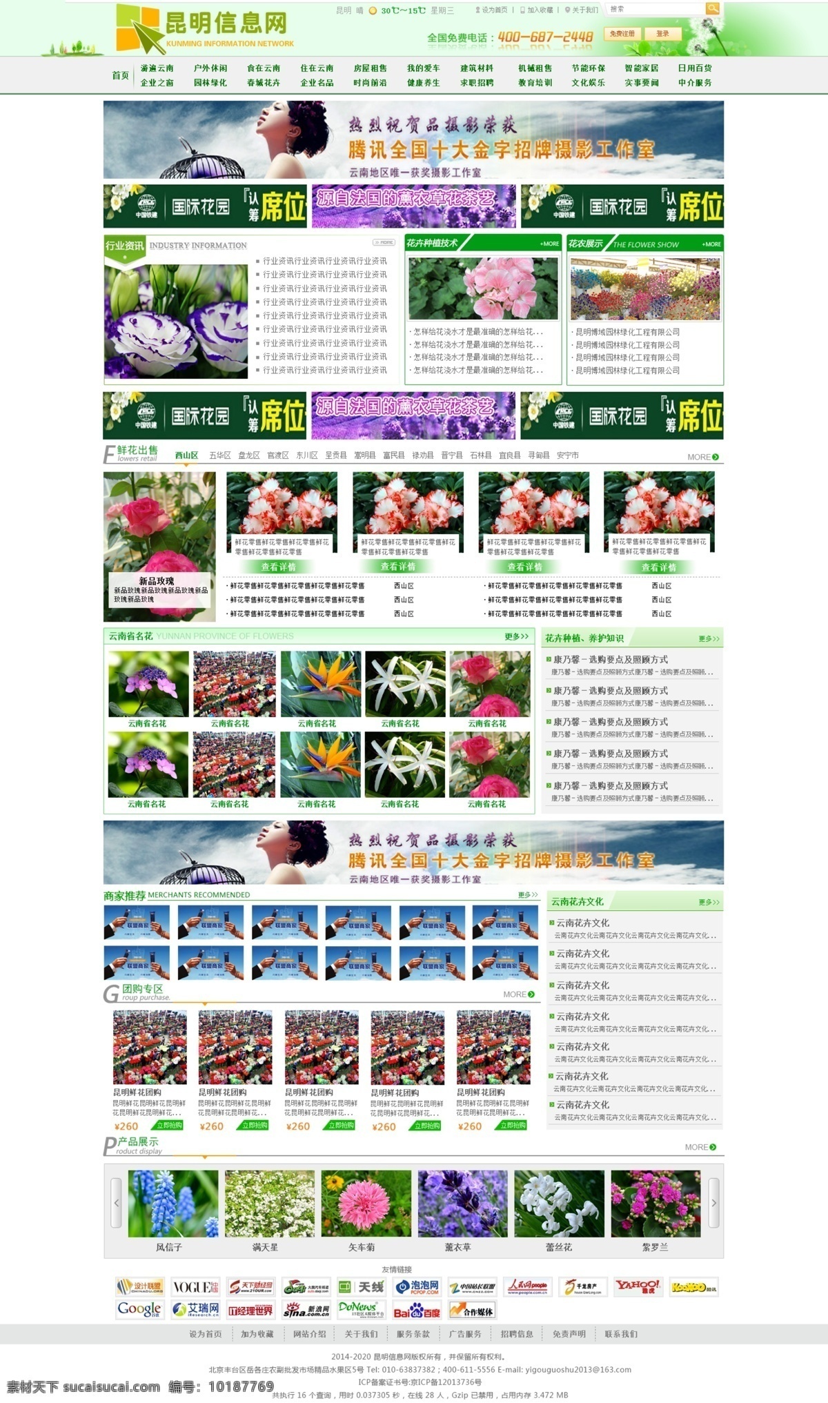 春城花卉 门户网站 网页设计 网站 简洁网站设计 内容型