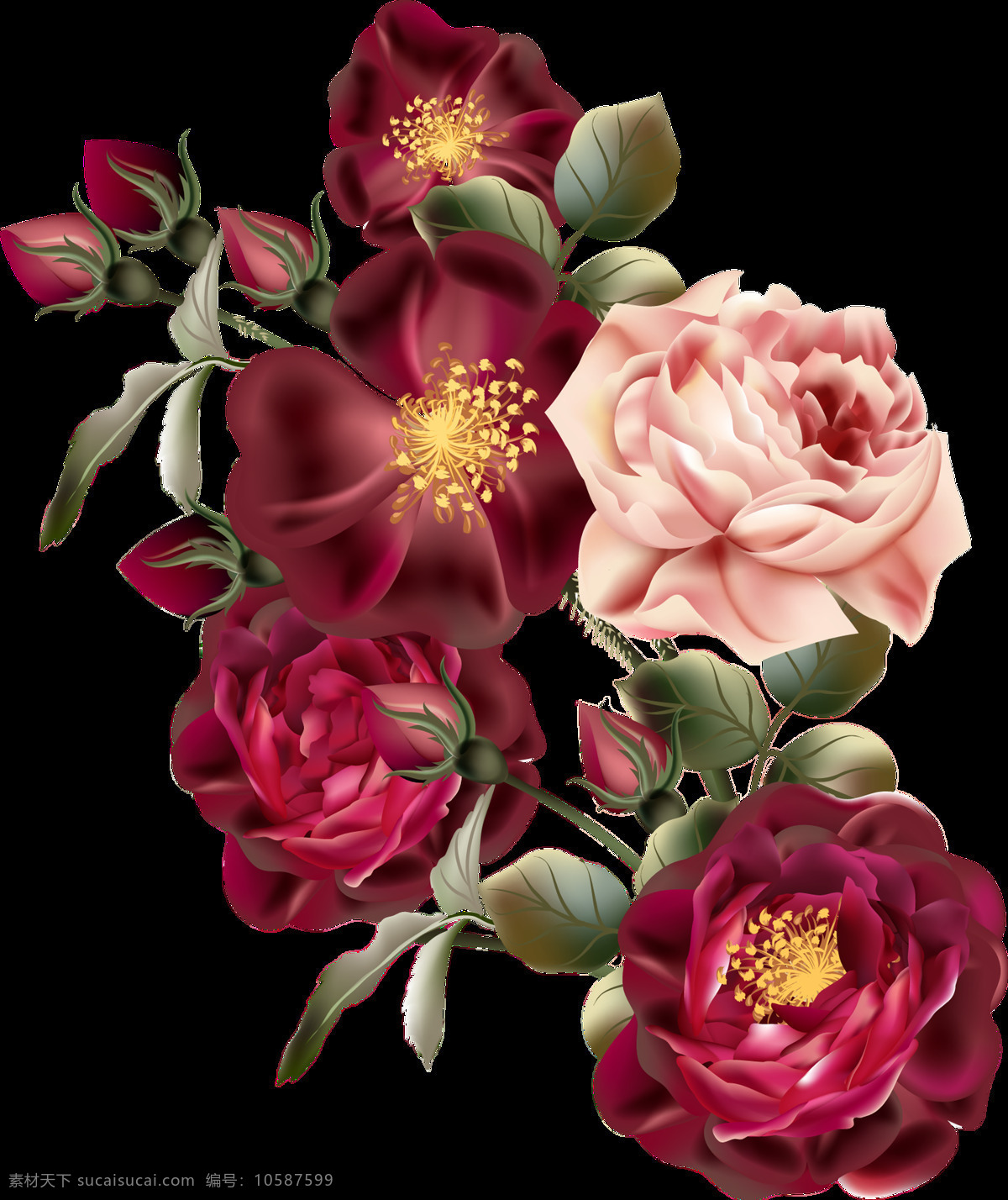 写实 成熟 化 玫瑰花 装饰 花苞 花朵 牡丹 蔷薇花