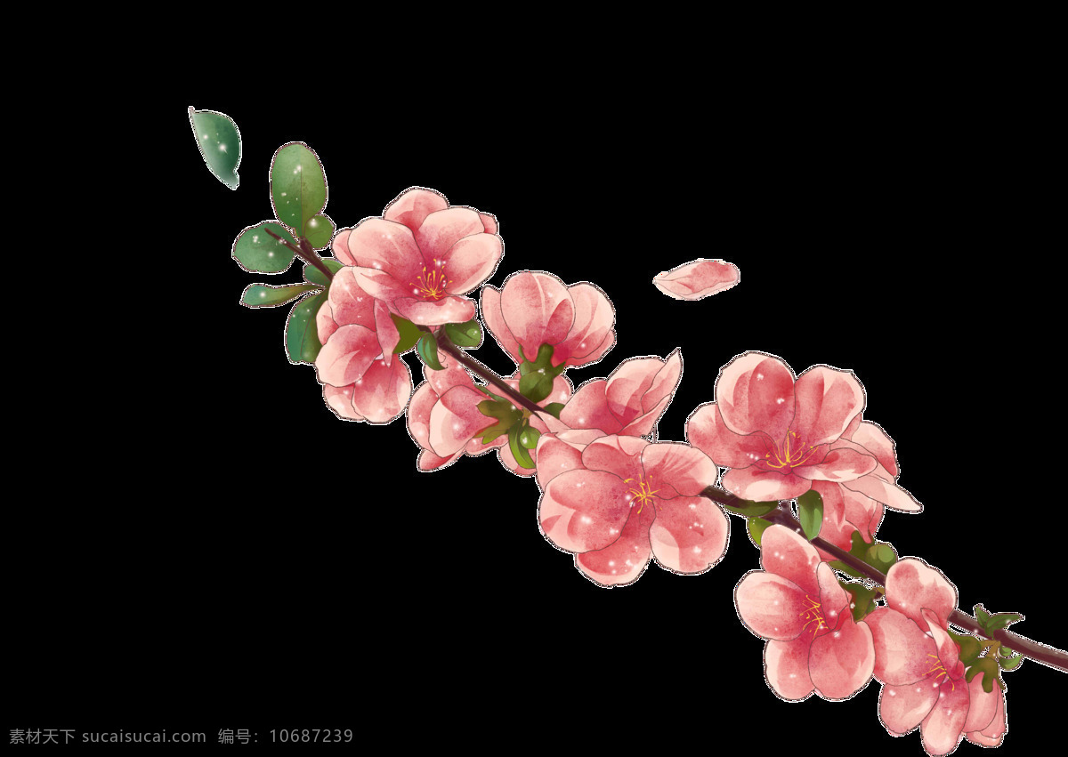 一枝独秀 桃花 树枝 透明 装饰 粉红色 花瓣 花枝 绿叶 免扣素材 透明素材 装饰图片