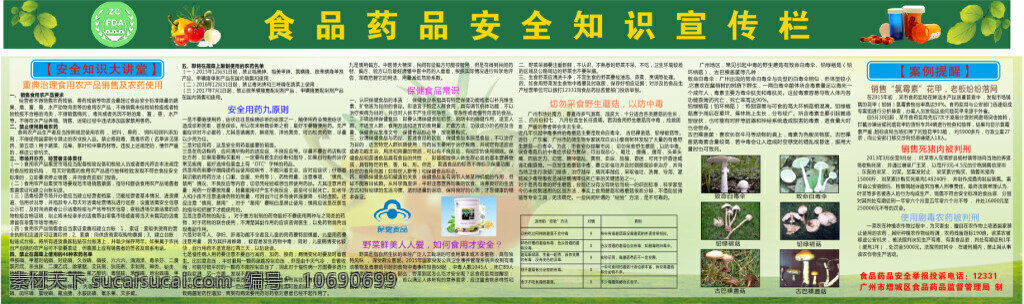 食品 药品 安全 宣传栏 食品药品监督 绿色宣传栏 食品药品安全 白色 加利设计