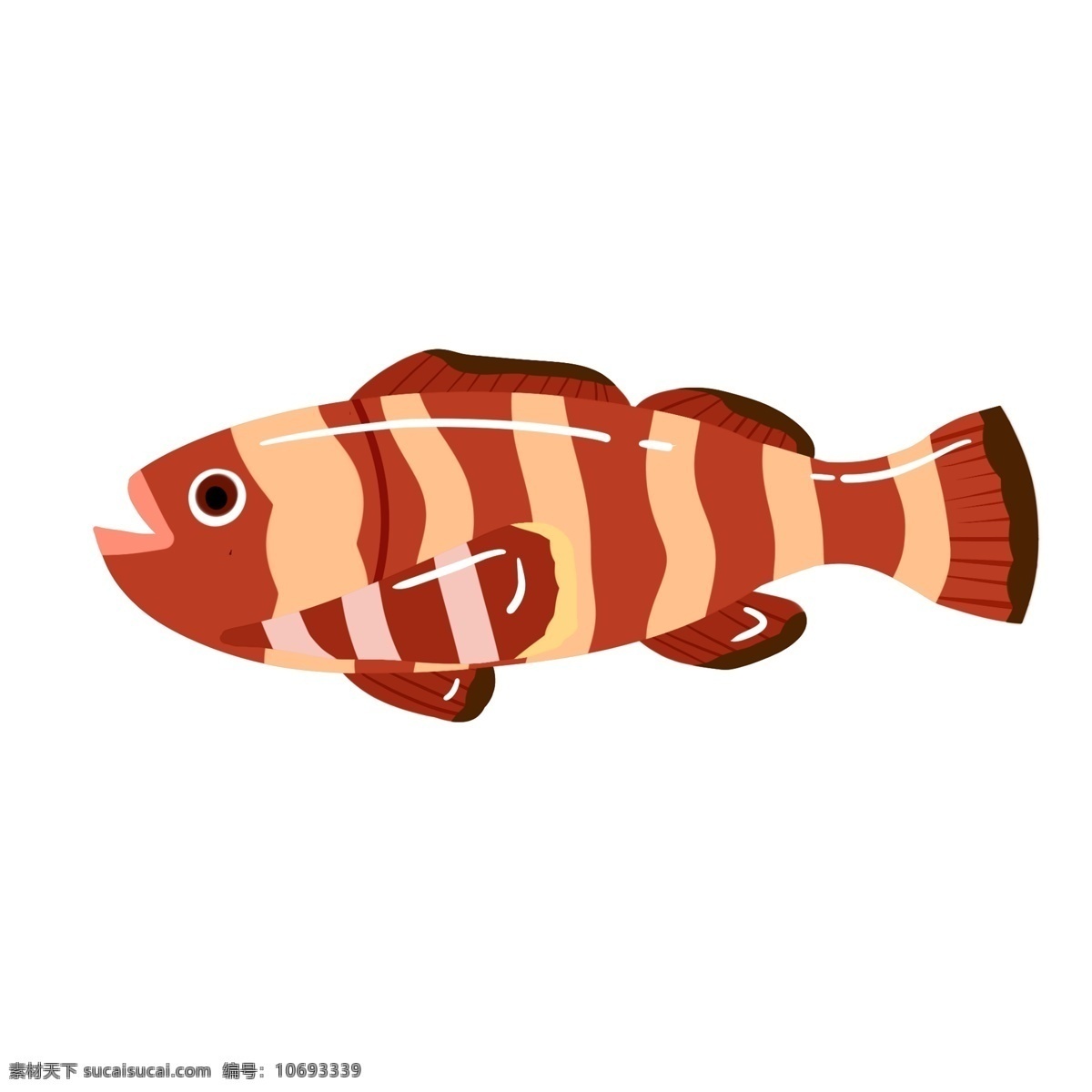 翻车鱼 海洋生物 热带鱼